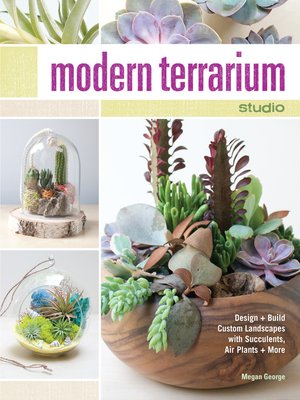 cover image of Modern Terrarium Studio